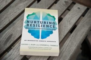 Nurturing Resilience Book
